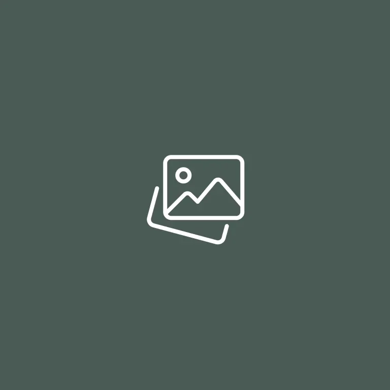 search-placeholder-1.webp